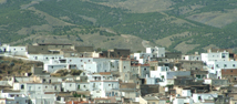 Información sobre Fiñana